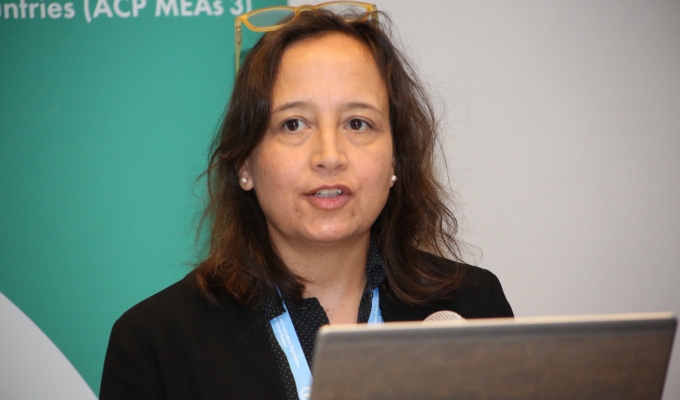 AO ACP MEAs 3 Global Coordinator, KimAnh Tempelman
